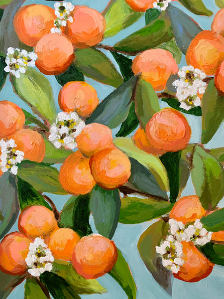 Orange tree blossom