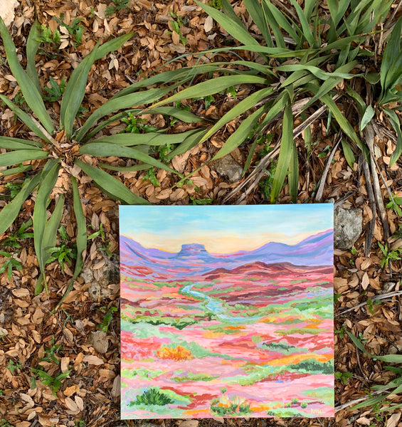 Window to the Desert