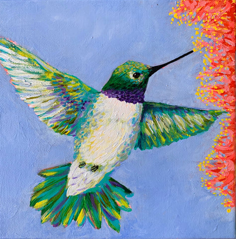 Green Hummingbird