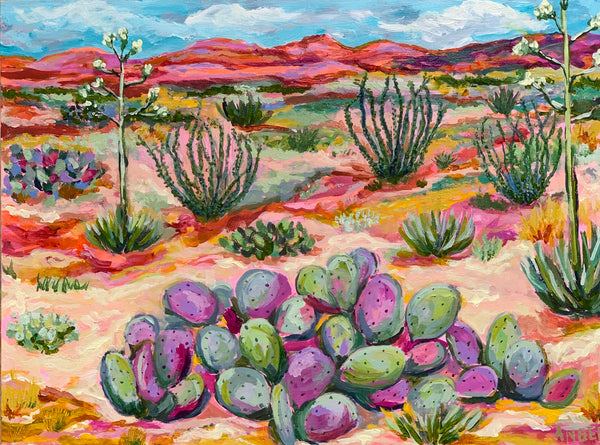 Desert Colores